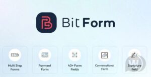 Bit Form Pro