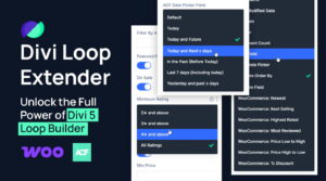 Divi Loop Extender