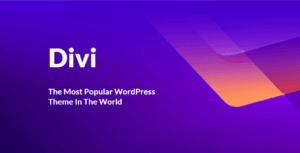 Divi Theme + Divi Builder