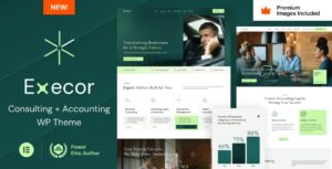 Execor Accounting and Management Consulting