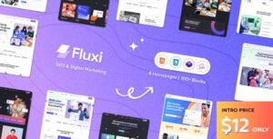 Fluxi SEO & Digital Marketing Agency WP Theme
