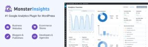 MonsterInsights Pro + Addons