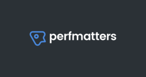 Perfmatters WP Performance Plugin