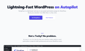 FlyingPress WP Plugin