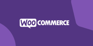 WooCommerce Admin Custom Order Fields